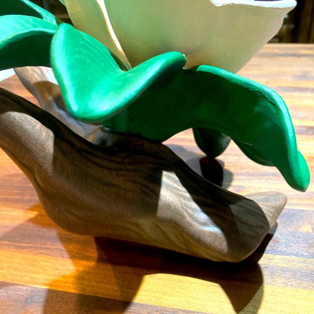 A Magnolia Leaf On A Branch